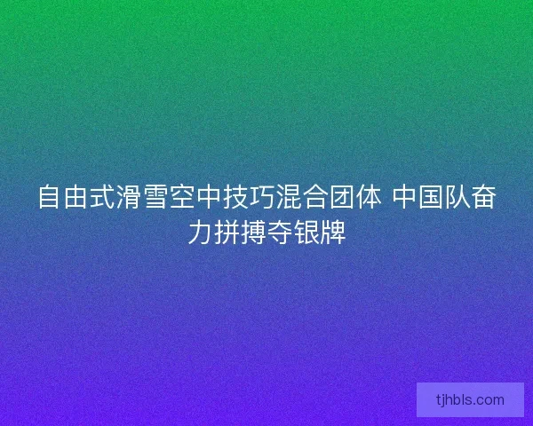 自由式滑雪空中技巧混合团体 中国队奋力拼搏夺银牌