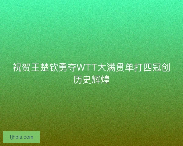 祝贺王楚钦勇夺WTT大满贯单打四冠创历史辉煌